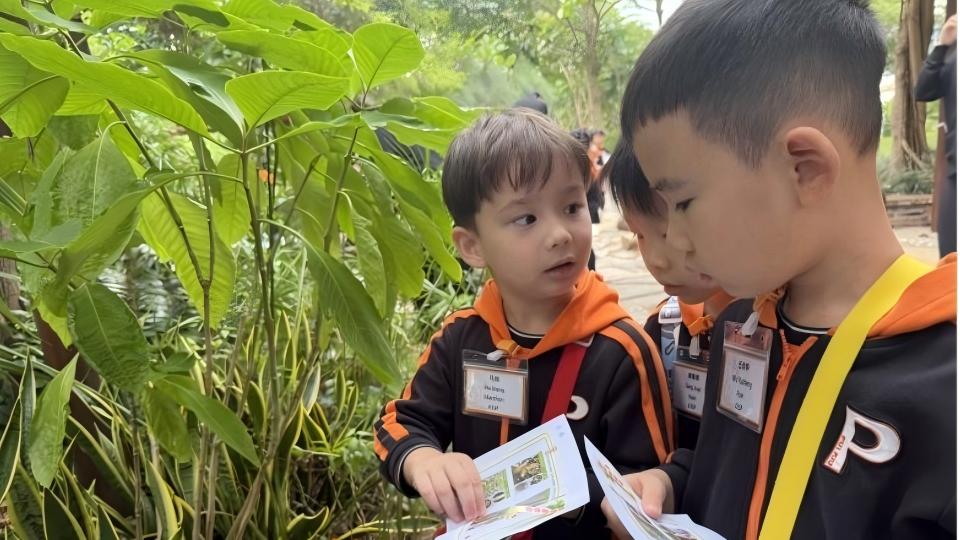 K3 Mangrove Adventure