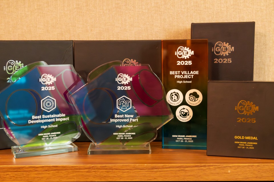 1764316247947489.jpg 0.jpg