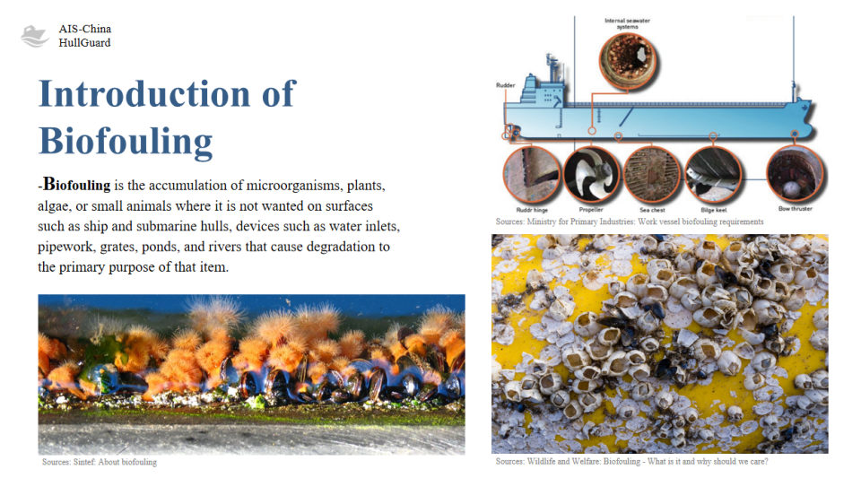 1765767804806358.png 3.png