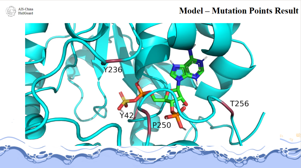 1765767924745066.png 8.png