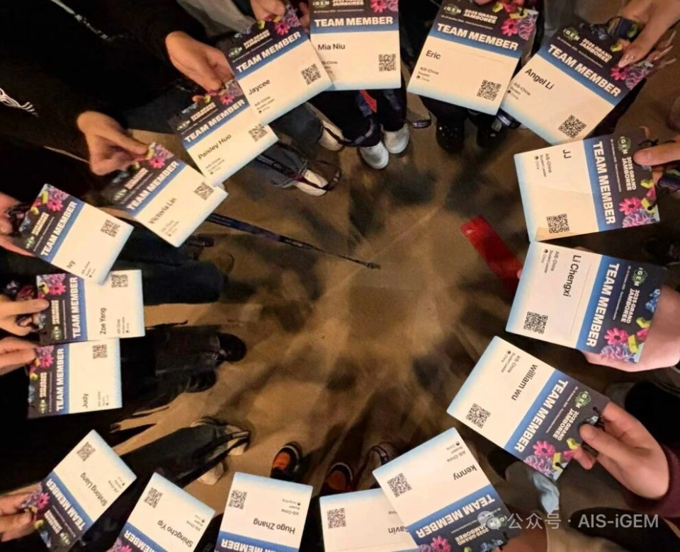 1765768167495768.jpg 21.jpg