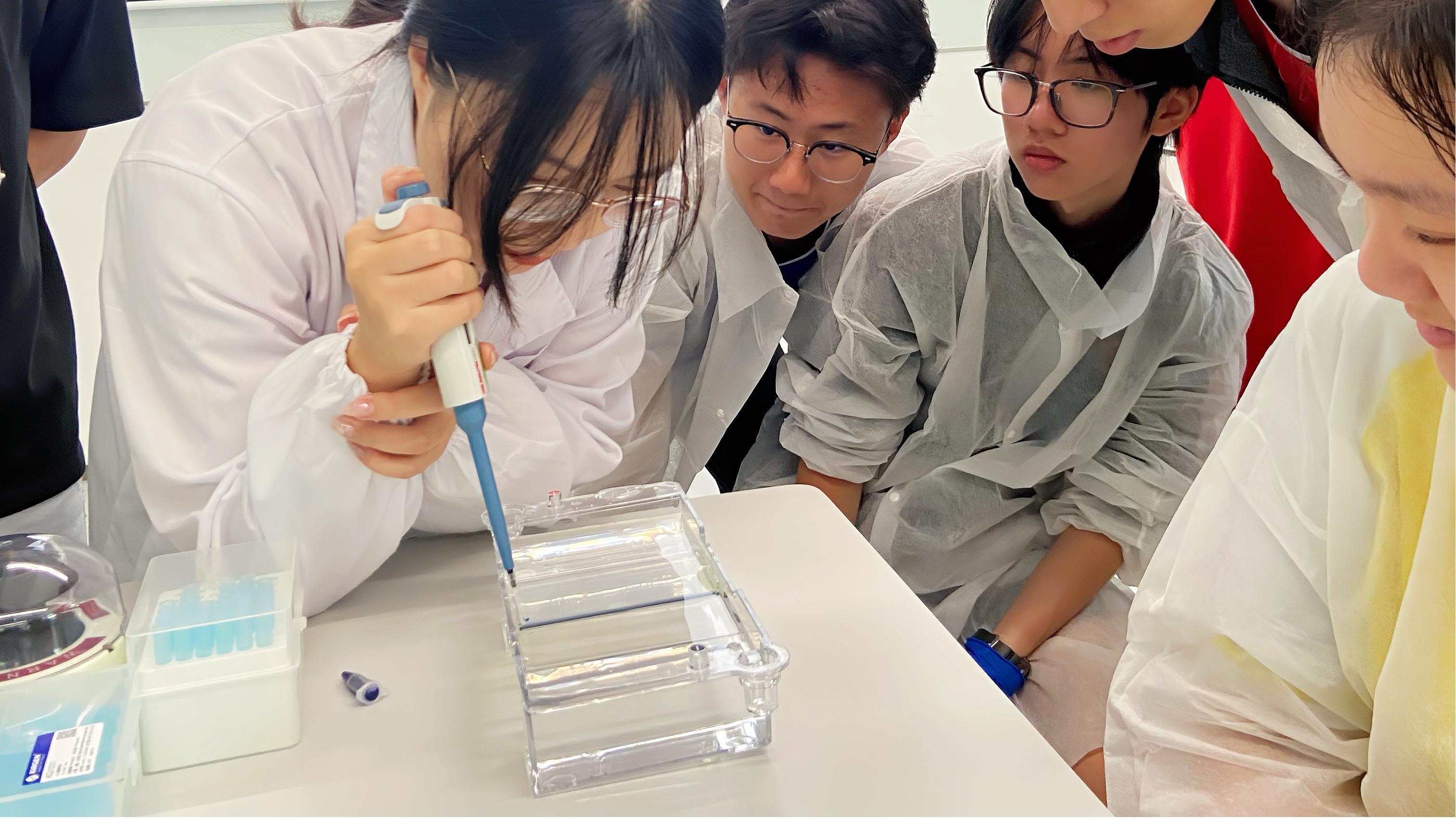 让学习不止于分数：走进国际课程的破界时刻